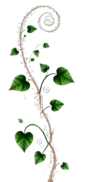 A vertical digital illustration featuring a tall vine made of letters and phrases, twisting upward with letter-shaped leaves and spiraling branches.