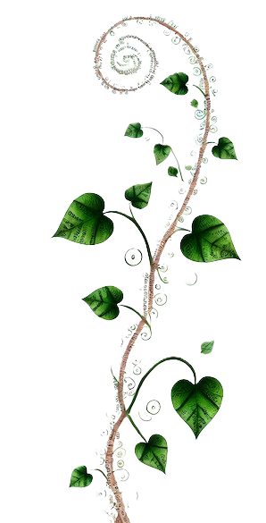 A vertical digital illustration featuring a tall vine made of letters and phrases, twisting upward with letter-shaped leaves and spiraling branches.